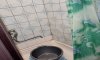 превью 9
