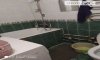 превью 1