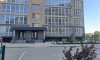 превью 5