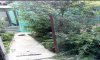 превью 1