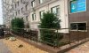 превью 5
