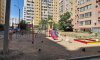 превью 6