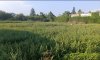 превью 1