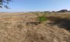 превью 2