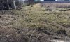 превью 6