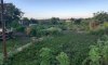 превью 1