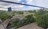 превью 12
