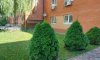 превью 3