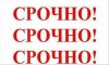 превью 3
